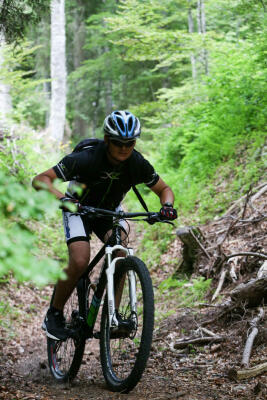 Activités estivales