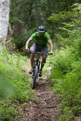 Activités estivales