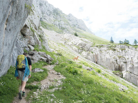 Activités estivales