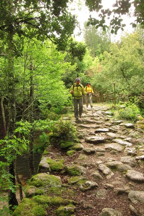 Nordic walking