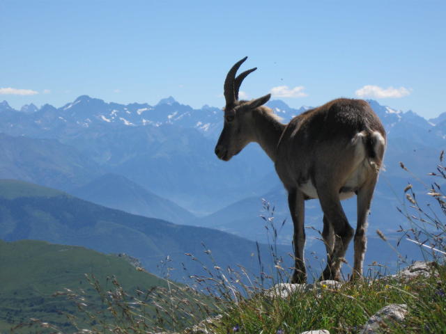 En sortie randonnée