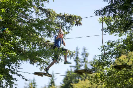 Matinée à l'accrobranche